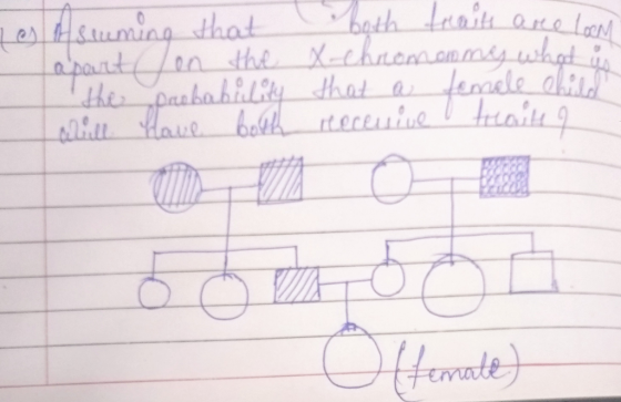 Tes Assuming that both traits are loon apart on the X-chromooms what at the probability that a female child alill have both r
