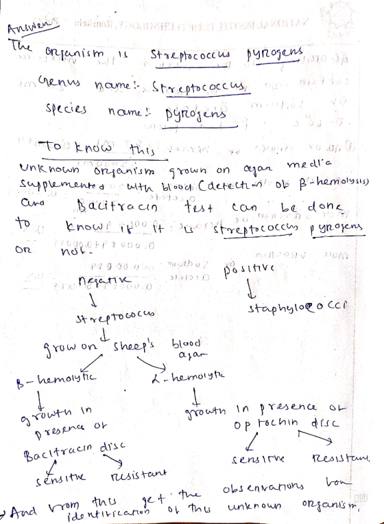 ? SAVO name. Pyrogers he organism is Streptococcus pyrogens no is an Genus name: Storentococcus, ou au species name. pyrogens