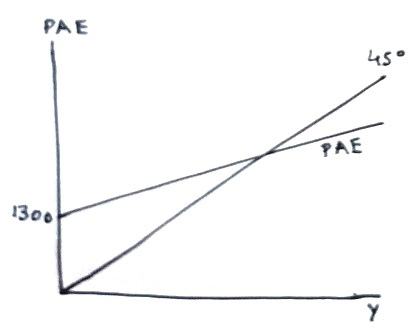 PAE PAE 13007