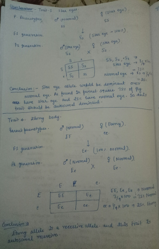 anchester - Trait-3 star eyes islar eye) P. Phenotypes I (Normal) SS SS 1 f generation. fa generation. Ss o (stor eye) Ss X (