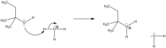 H3C
H3C
7-H3C
ة
--
HaC
,
HC
HC
H