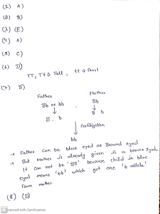 (1) A) (2) B) (3) (E) (4) ^) (5) c) (6) D) - TT, Tt Tall, tt Short () B) Father Bb or bb Mother Bb Bb B. b Fertilization bb y