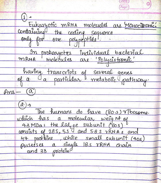 (Page:) -Eukaryotic mRNA molecules are Monocitronics containing the coding sequence I only for one polypeptide In prokaryote