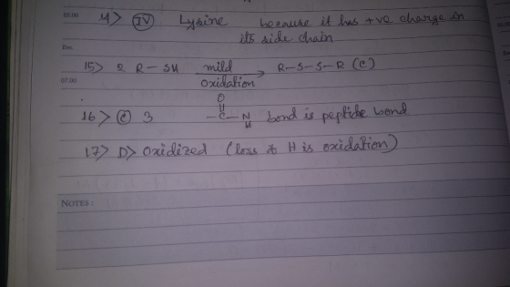 beeause it has tvo chage in its side daain Lysine 05.00 05.0 Eve. mild Oxidation R-S-S-R Ce) 2 R-SH 07.00 N and is peptide Lo