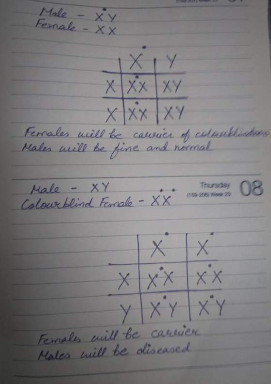 Male - xy Fernale - xx XXXXY XXX IXY Fernales will be calweier of colaubladen Males will be fine and normal Thursday Male - X