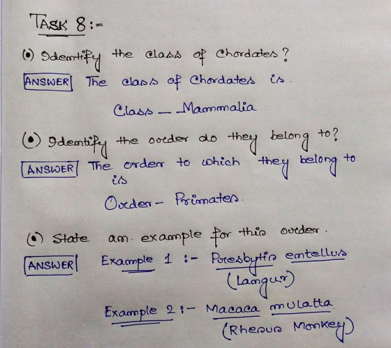 TASK 8:- 6) Identify is. the class of Chordaters? ANSWER| The The class of Chordates Class Mammalia they belong to? The order