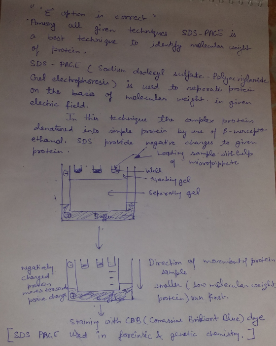 ir E,叫tion in correct- Armung ate a bear technique to identita malaadanwei ofトrotein g ven technines SDS-PREİA s eu on banas