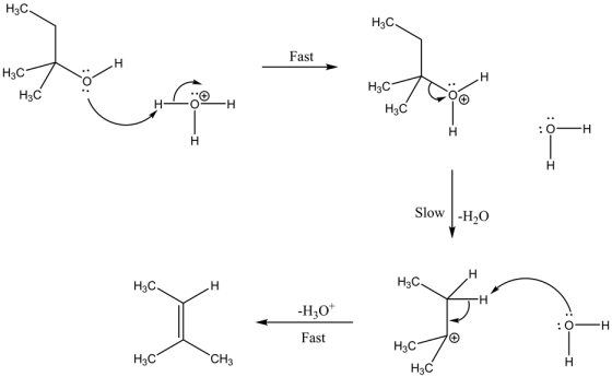 | H3C
H3C
Fast
H3C
/
H3C /
H3C
H₂C
:و-1
Slow | -H2O
H3CH
H3C
-H,0*
واک
:-
H
Fast
HaC
H3C
CHg
H3C