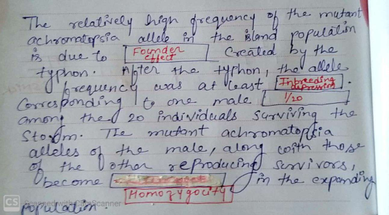 The relatively high frequency of the mutant achromatopsia allele in the island population is due to Founder 7 Created by the