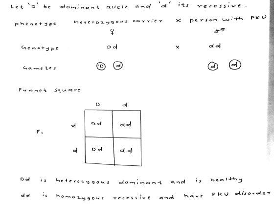 Let s be dominant allele and d its recessive. x person with Ku phenotype heterozygous carrier ح Genotype od dd Gametes Pun