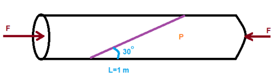 F F P 30° L=1 m