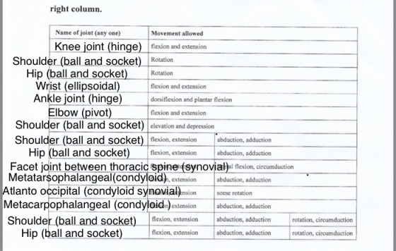 right column. Rotation Name of joint (any one) Movement allowed Knee joint (hinge) flexion and extension Shoulder (ball and s
