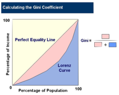 Calculating the Gini Coefficient 100 Perfect Equality Line Percentage of Income Lorenz Curve Percentage of Population 100
