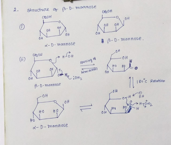 2. Structure of B-D-mannose CH2OH H CH2OH -OOH OH OH - 0, K OH OH V OH OH B B-D-mannose, 2-D-mannose сон - Hloh ina of Openin