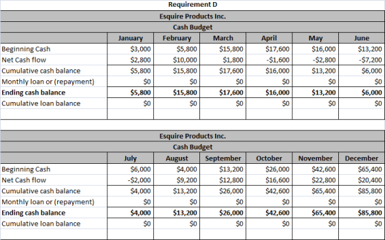 Beginning Cash Net Cash flow Cumulative cash balance Monthly loan or (repayment) Ending cash balance Cumulative loan balance