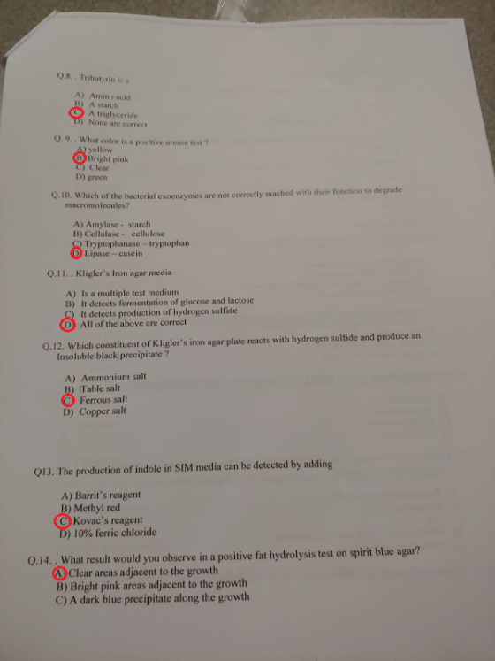O.8. Tributyrin is a A) Amino acid B) A starch A triglyceride ) None are correct 0 o, What color is a positive urease test ? yellow Bright pink Clear D) green 0.10. which of the bcterial exoenzymes are n terial exoenzymes are not correctly mached with their function to degrade macromolecules? A) Amylase starch Lipase - casein Q.11. . Kliglers Iron agar media B) Cellulase cellulose Tryptophanase - tryptophan A) Is a multiple test medium B) It detects fermentation of glucose and lactose It detects production of hydrogen sulfide D All of the above are correct Q.12. Which constituent of Kliglers iron agar plate reacts with hydrogen sulfide and produce an Insoluble black precipitate ? A) Ammonium salt B) Table salt Ferrous salt D) Copper salt 013. The production of indole in SIM media can be detected by adding A) Barrits reagent B) Methyl red C) Kovacs reagent ) 10% ferric chloride Q.14. . What result would you observe in a positive fat hydrolysis test on spirit blue agar? Clear areas adjacent to the growth B) Bright pink areas adjacent to the growth C) A dark blue precipitate along the growth