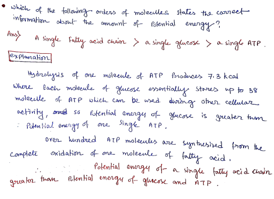 which h of the following orders of moleculles states the correct information about the amount of Potential energy? Ausy a sin