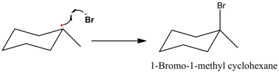 Br
Br
1-Bromo-1-methyl cyclohexane