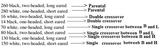 260 black, two-headed, long eared >Parental 280 white, one-headed, short eared 16 white, two-headed, long eared 14 black, one