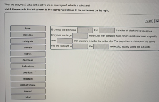 What are enzymes ? What is the active site of an enzyme? What is a substrate? Match the words in the left column to the appro