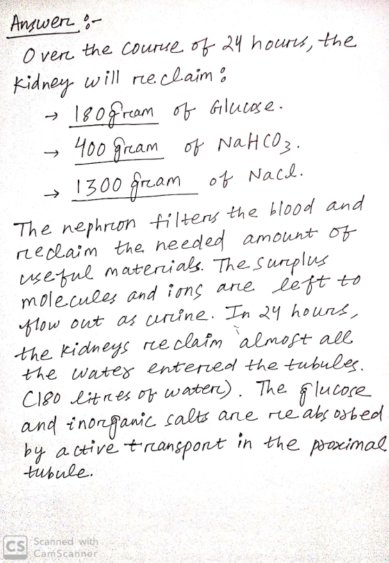 Answer of Over the course of 24 houres, the Kidney will reclaim: → 180gram of Glucose. - 400 gram of NaHCO3. → 1300 gram of N
