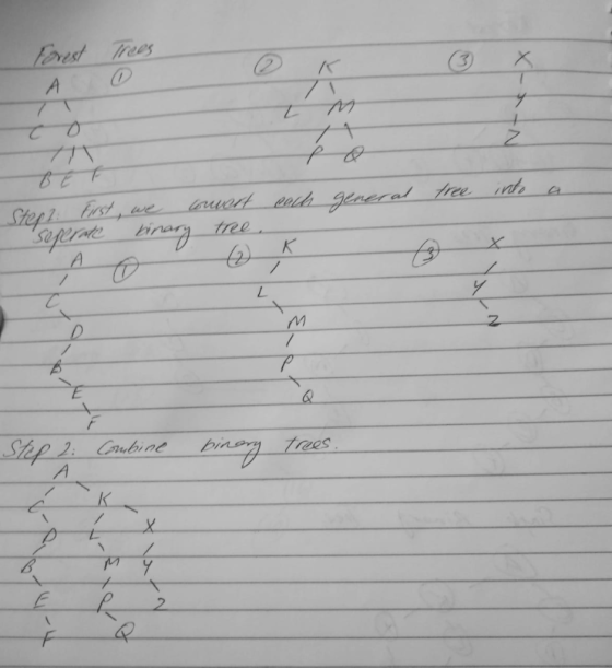 /1y-Z| general tree into each a Stept: First, we couvert seperate binary tree, : Combine trees. 00