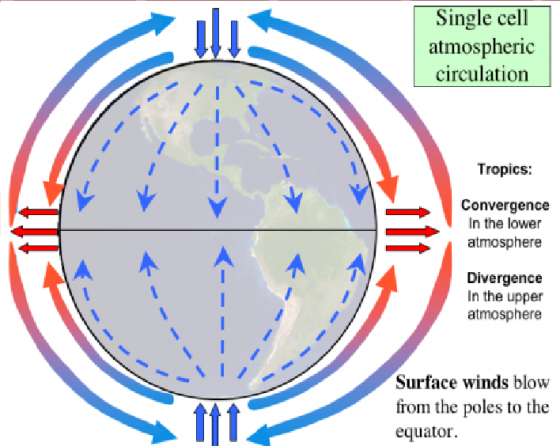 Single cell atmospheric circulation Tropics: Convergence In the lower atmosphere Divergence In the upper atmosphere Surface w