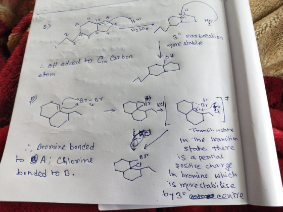 > M250g 30 carboeation - more stable OH added to Go Carbon atom. # BY- 3y KCA IBY AM - Bromine bonded to A; Chlorine bonded t