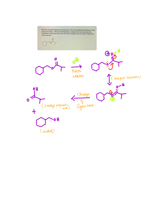 Write the complete stepwise mechanism for the acid catalyzed hydrolysis of the compound shown. Show all intermediates, indica