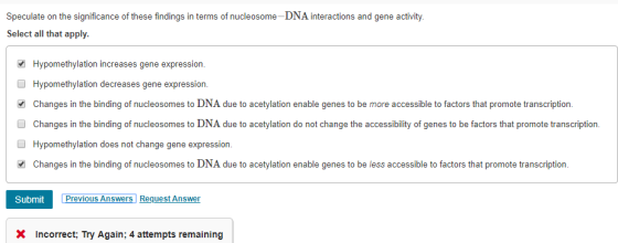 Speculate on the significance of these findings in terms of nucleosome-DNA interactions and gene activity Select all that app