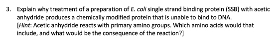 3. Explain why treatment of a preparation of E. coli single strand binding protein (SSB) with acetic anhydride produces a che