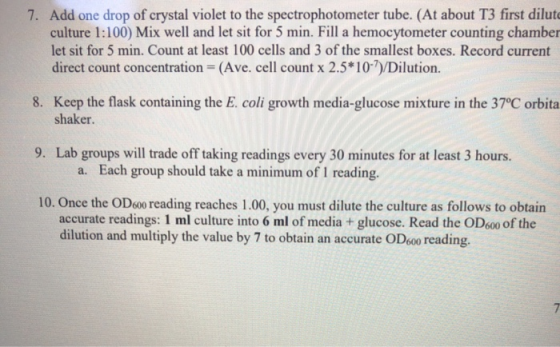 7. Add one drop of crystal violet to the spectrophotometer tube. (At about T3 first dilute culture 1:100) Mix well and let si