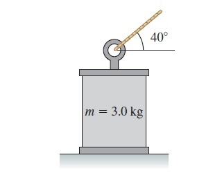 40° m 3.0 kg