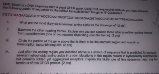 Q46. Below is a DNA sequence from a yeast GPCR gene. Using RNA sequencing methods you have obtained the following partial 5