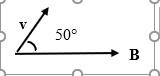 Х 50° B