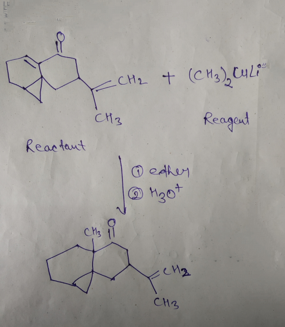 - CH₂ & (CH3) Culie CH3 Reagent Reactant I edhen V Bot Gelz CH3