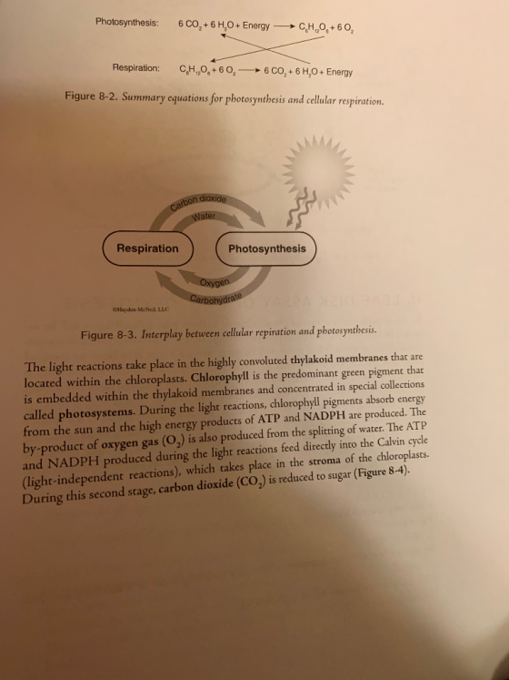 Photosynthesis: 6 CO2 + 6 H20+ Energy-→ C,H1206 + 6 O2 Respiration: C,H 1206 + 6 O2-→ 6 co, + 6 H2O+ Energy Figure 8-2. Summa
