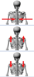 51.png
