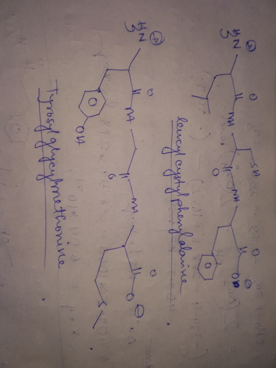 0 SWS 0 02 1 NA ( 7 ) leucy lencyl cystylphenylalanin unt 04 Tyrosyl glycylmethonine