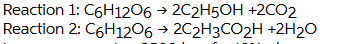 1596172573617_blob.png