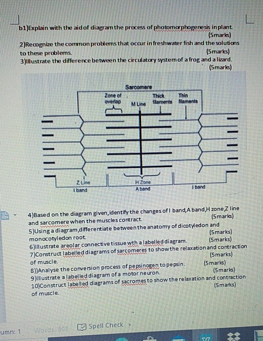 b1)Explain with the aid of diagram the process of photomorphogenesis in plant (Smarks) 2)Recognize the common problems that o