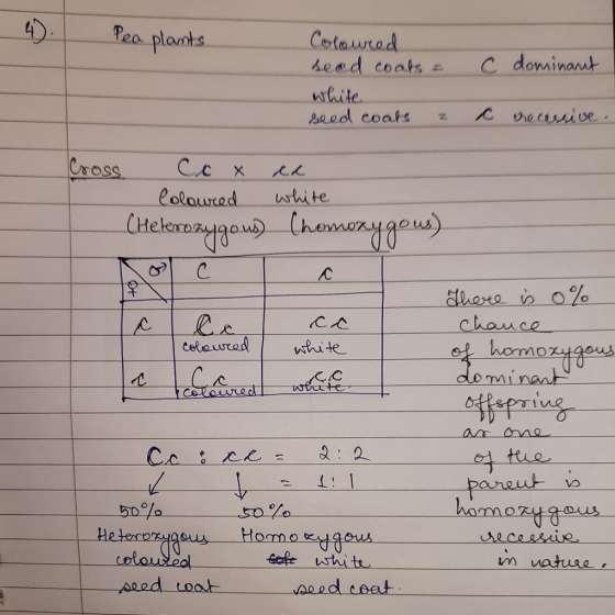 Pea plants Coloured seed coats & white seed coats a C dominant c recessive. Cross Cc x id Coloured white (Heterozygous) (homo