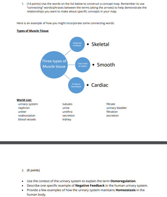 1. (14 points) Use the words on the list below to construct a concept map. Remember to use connecting words/phrases between