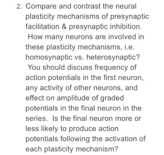 2. Compare and contrast the neural plasticity mechanisms of presynaptic facilitation & presynaptic inhibition. How many neuro
