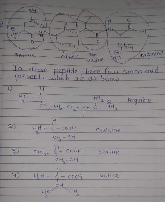 माया serine Cystein ser Valine HN Arginine In above peptide there four amino add present, which are as below I HH - HH₂ a CH₂