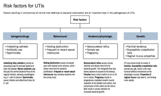 Risk factors for UTIS Factors resulting in compromise of normal host defences to bacterial colonization are an important step