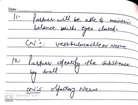 Date : Partner will be able to maintain belance with eyes closed wsi vestibulo cochlear Nerua 12 Partner identify the substan