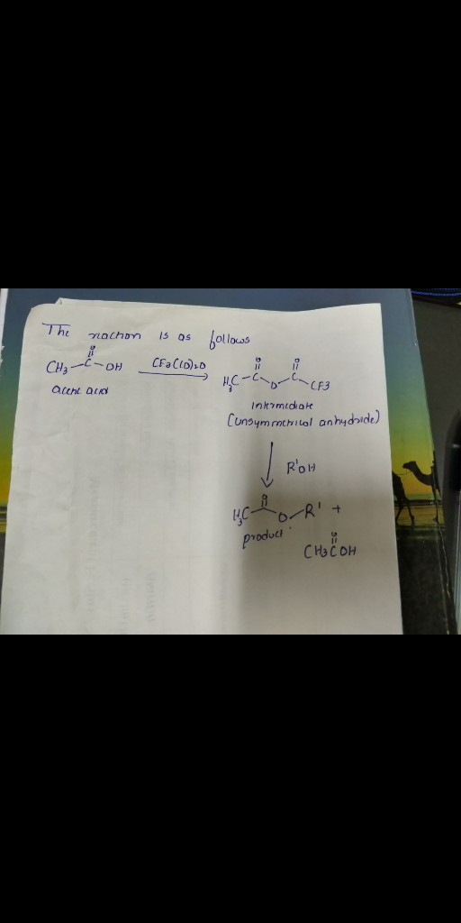 The &olloas nathon , CFa Clo)D CHa OH CP3 attht aud inkrmidhat Cunsym rachial anhydride) RoH ус- producs CHOCOH