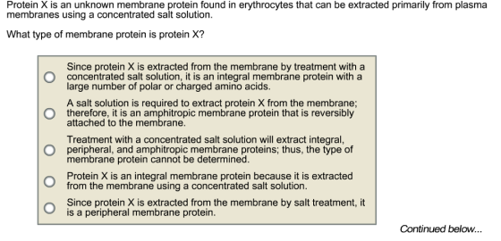 Protein X is an unknown membrane protein found in erythrocytes that can be extracted primarily from plasma membranes using a concentrated salt solution. What type of membrane protein is protein X? Since protein X is extracted from the membrane by treatment with a concentrated salt solution, it is an integral membrane protein with a large number of polar or charged amino acids. O O O A salt solution is required to extract protein X from the membrane; therefore, it is an amphitropic membrane protein that is reversibly attached to the membrane Treatment with a concentrated salt solution will extract integral, peripheral, and amphitropic membrane proteins; thus, the type of membrane protein cannot be determined. Protein X is an integral membrane protein because it is extracted from the membrane using a concentrated salt solution. Since protein X is extracted from the membrane by salt treatment, it is a peripheral membrane protein. Continued below...