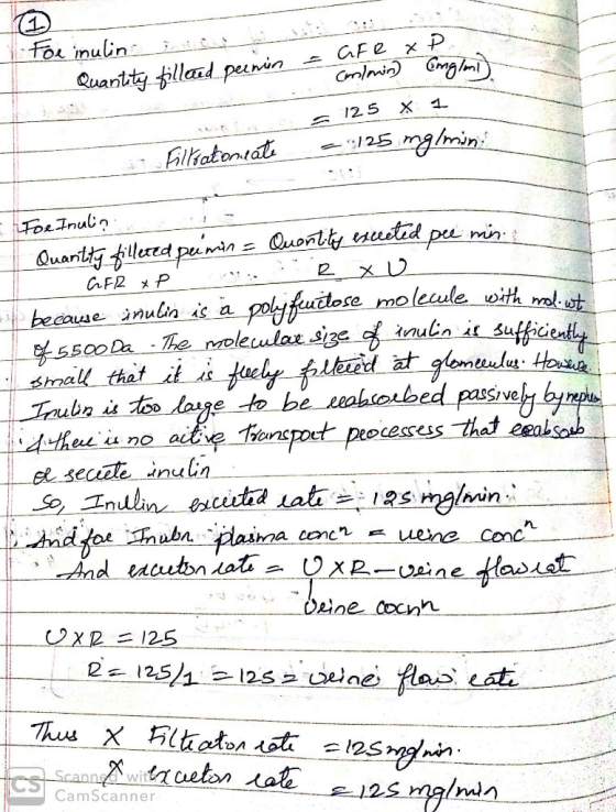 For inulin to = GFR x P. Conlonin Englmi) 1 Quantity filleted peenin = 125 1 Filtratoniate = 125 mg/min. = For Inulio I Quant